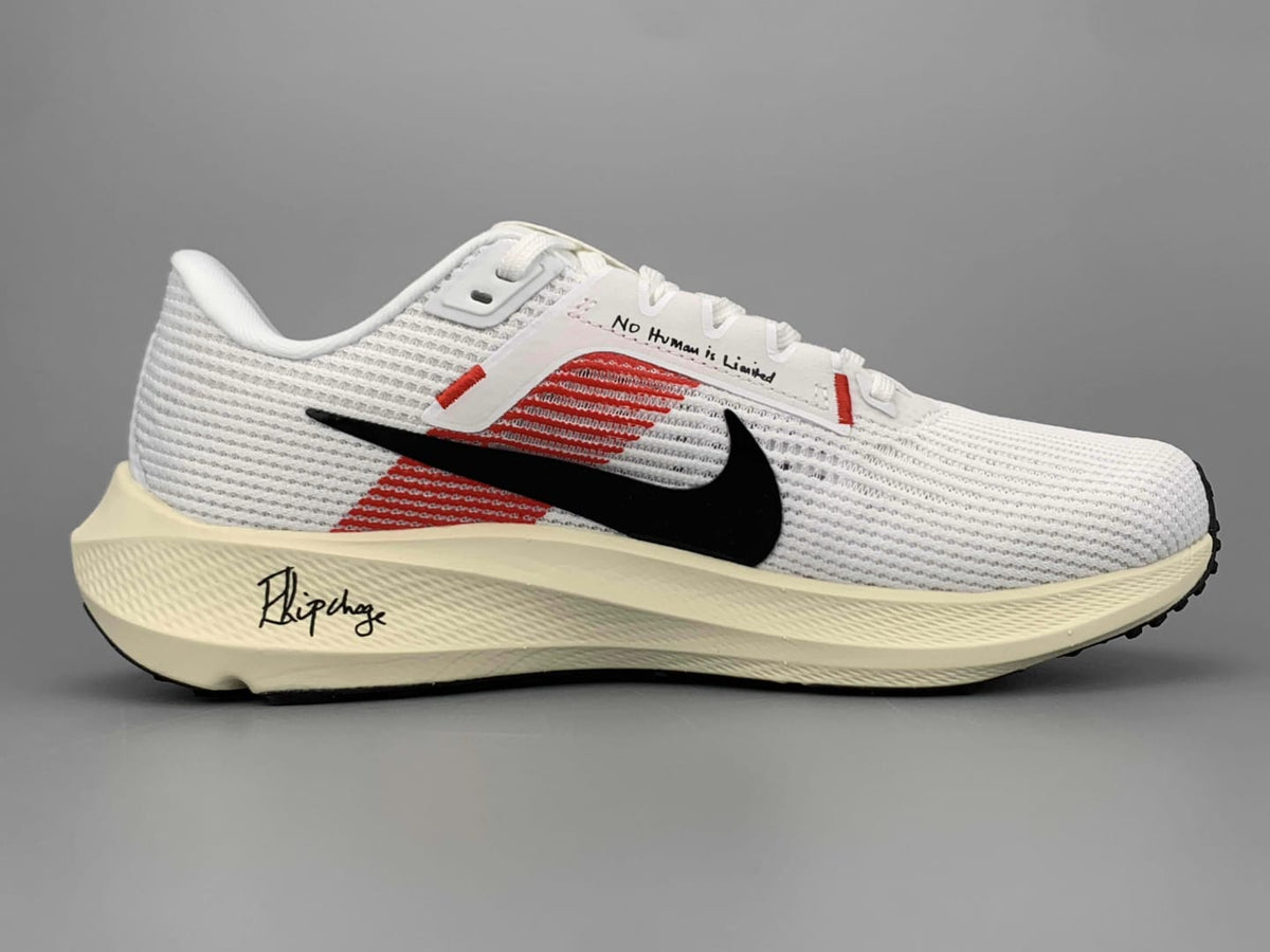 NIKE PEGASUS 40 EK VERSION – Badeq Shop
