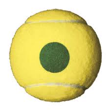 Wilson Training Tennis Ball, Green